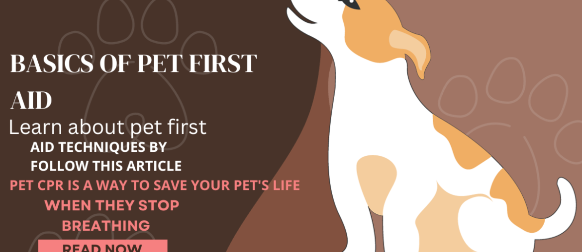 Basics of the Pet First Aid, The Health Bond