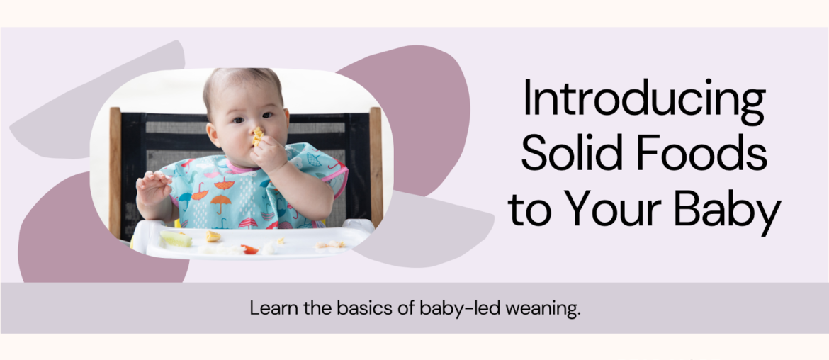 Introducing Solid Foods to Your Baby, The Health Bond