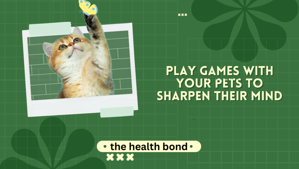 Play Games With Your Pet The Health Bond