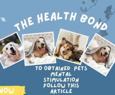 Pets mental stimulation The Health Bond