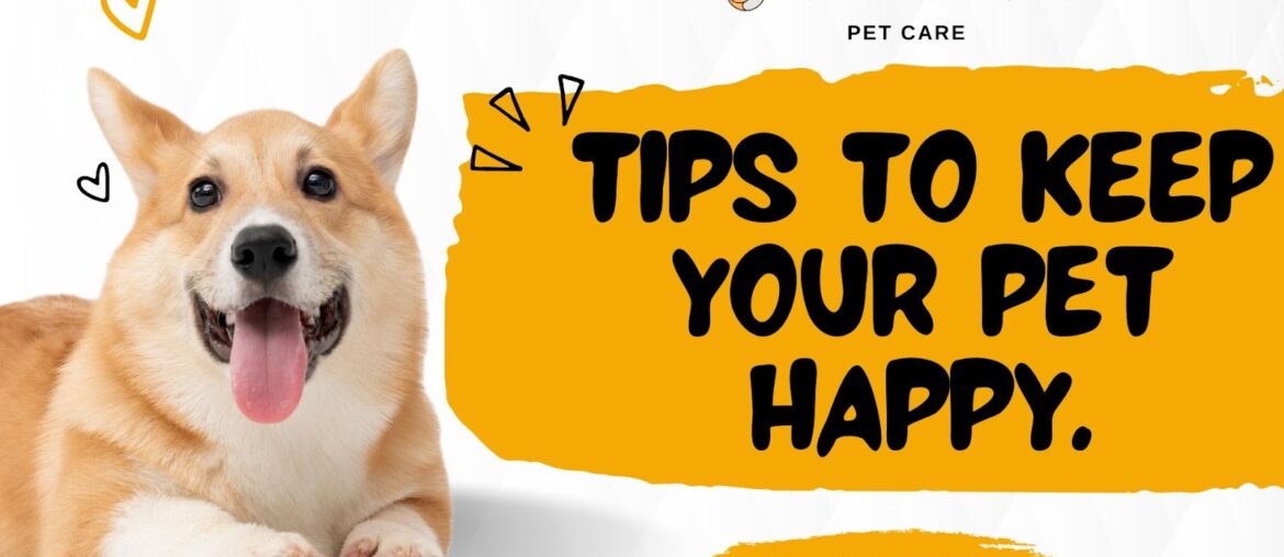 Tips to Keep Your Pet Healthy, The Health Bond.