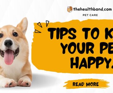 Tips to Keep Your Pet Healthy, The Health Bond.