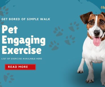 Pet Engaging Exercise, The Health Bond