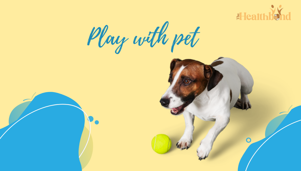 Play with Pet, The Health Bond